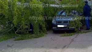 В Набережных Челнах на припаркованный автомобиль упало дерево