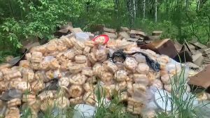 В Татарстане обнаружена гора выброшенного баурсака