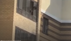 В Челнах мужчина грозился выкинуть кота с 10 этажа дома