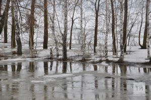 Синоптики предсказывают теплую зиму без снега