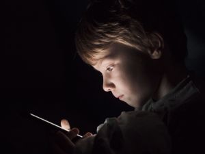 Татарстанцам рассказали, как уберечь ребёнка от вербовки в интернете