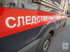 Следком проверит жалобы на агрессивных безнадзорных собак в Казани