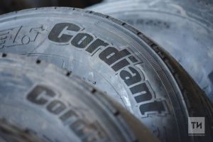 Пенсионер из Казани потерял 100 тысяч рублей, покупая зимнюю резину онлайн