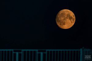 В Татарстане можно будет увидеть редкое охотничье суперлуние 5 ноября