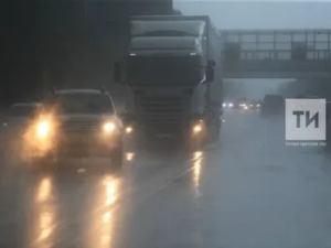 В Татарстане 12 ноября ожидаются мокрый снег, туман и гололедица