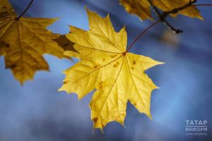 Прогноз погоды в Набережных Челнах на 24 ноября