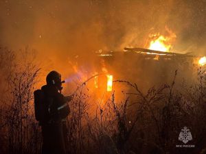 В Арском районе мужчина погиб при пожаре в собственном дом