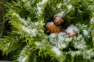 Зимние приметы и новогодние поверья: что сулит погода и традиции в Новый год