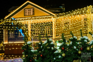 В России предложили временно отменить штрафы за елки и гирлянды в подъездах