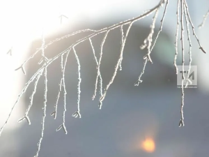 Прогноз погоды в Набережных Челнах на 25 декабря