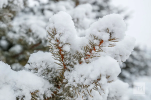 Прогноз погоды в Набережных Челнах на 28 декабря