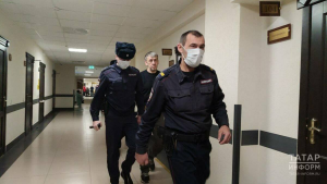 Руководство приюта «Кот и Пес» отправили под арест после нападения собак