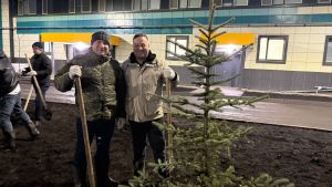 Зелёное обновление: как больница обрела новый облик