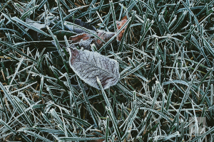 Прогноз погоды в Челнах на 8 декабря: резкое похолодание и крепкий мороз