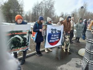 В Казани прошёл пикет против легализации отлова и убийства бездомных животных