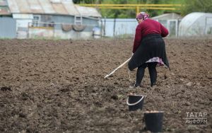 Владельцам заброшенных участков в РТ дали 3 года на приведение земли в порядок