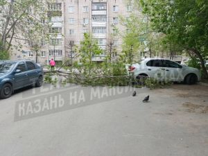 В Казани из-за сильного ветра дерево упало на автомобиль
