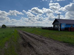 Многодетным семьям выделят землю в Мензелинском и Муслюмовском районах