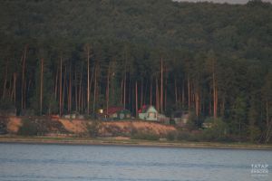 За неиспользуемые дачные участки россиян начнут штрафовать до 700 тыс. рублей