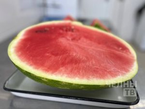 В Набережных Челнах началась продажа арбузов с проверкой на нитраты