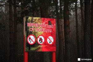 В Татарстане объявлен 4 класс пожарной опасности в лесах