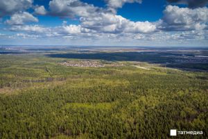 Из-за жары в Татарстане усилили авиапатрулирование лесов