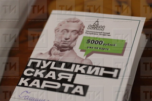 Двоих жителей Татарстана обвинили в хищении 5,7 млн по «Пушкинской карте»