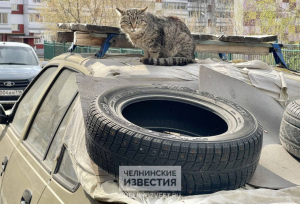 В Челнах подросток сбросил шину с 25 этажа — ущерб 601 тысяча рублей
