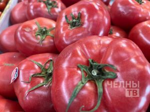 В Челнах картофель подорожал до 100 рублей, сезонные овощи начали дешеветь