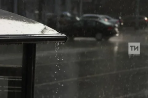 В Татарстане за июнь выпало вдвое больше осадков нормы