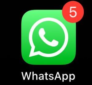 В Госдуме опровергли слухи о блокировке WhatsApp с 1 августа