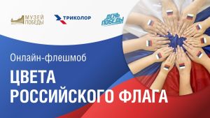 Татарстанцы стали частью виртуальной выставки Музея Победы ко Дню флага