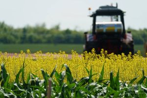 Аграрии Татарстана прогнозируют урожай лучше прошлогоднего