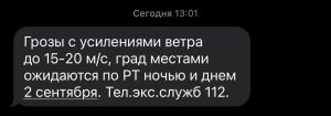 В Татарстане предупреждают о грозах и сильном ветре
