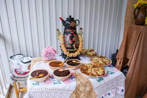 В Альметьевском районе проходят выборы с культурными и медицинскими активностями