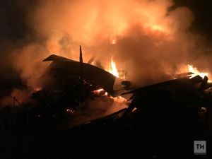 В Лениногорском районе на пожаре погибла женщина