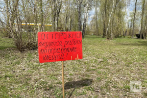 В Татарстане зафиксировано более 12 тысяч обращений из-за укусов клещей