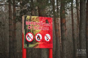 В Татарстане объявлено штормовое предупреждение из-за высокой пожароопасности
