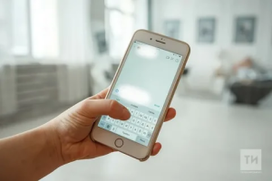 39% челнинцев поддержали ограничения звонков в Telegram и WhatsApp