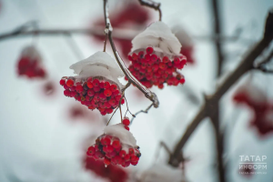 Прогноз погоды в Набережных Челнах на 13 января
