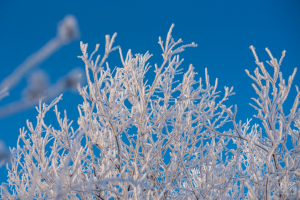 В Татарстане ожидаются морозы до −33 градусов