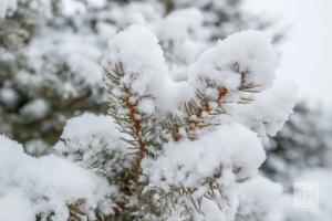 Прогноз погоды в Набережных Челнах на 27 января