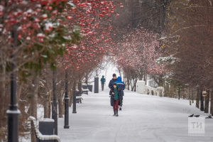 Прогноз погоды в Набережных Челнах на 9 января