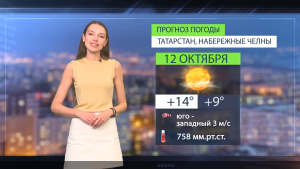 Прогноз погоды в Набережных Челнах на 12 октября