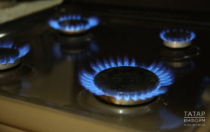 Двое детей и женщина отравились газом в Татарстане за один день