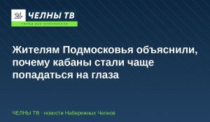 Жителям Подмосковья объяснили, почему кабаны стали чаще попадаться на глаза