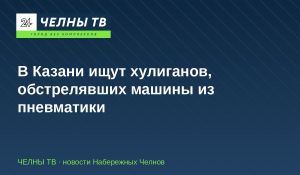 В Казани ищут хулиганов, обстрелявших машины из пневматики
