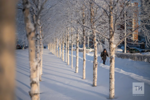Прогноз погоды в Набережных Челнах на 12 февраля
