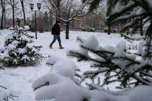 Прогноз погоды в Набережных Челнах на 26 февраля