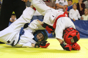 В Казани пройдет чемпионат ПФО по Киокусинкай в рамках фестиваля